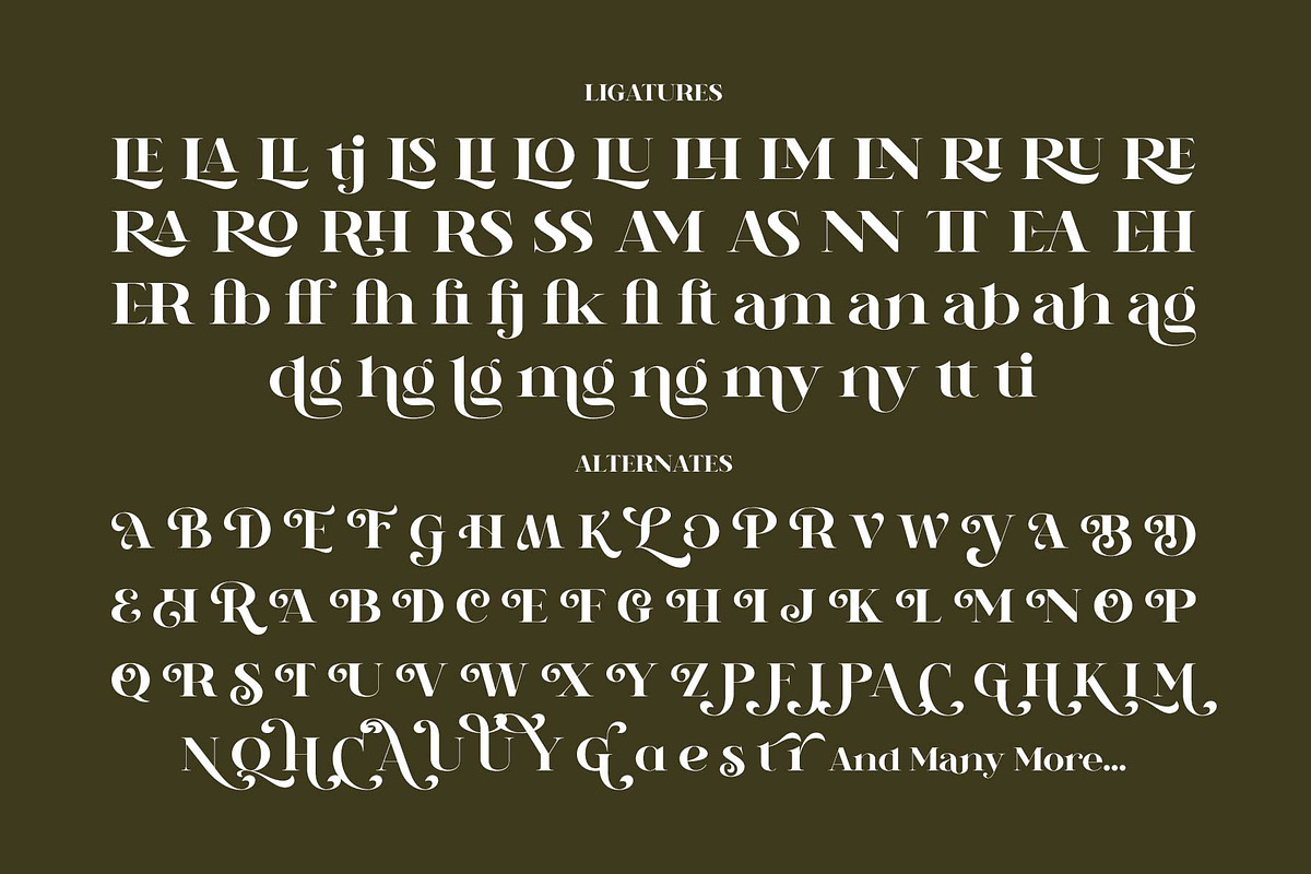 Reindan - Beautiful Bold Serif, a Font by Novitype (Photo 13 of 14)