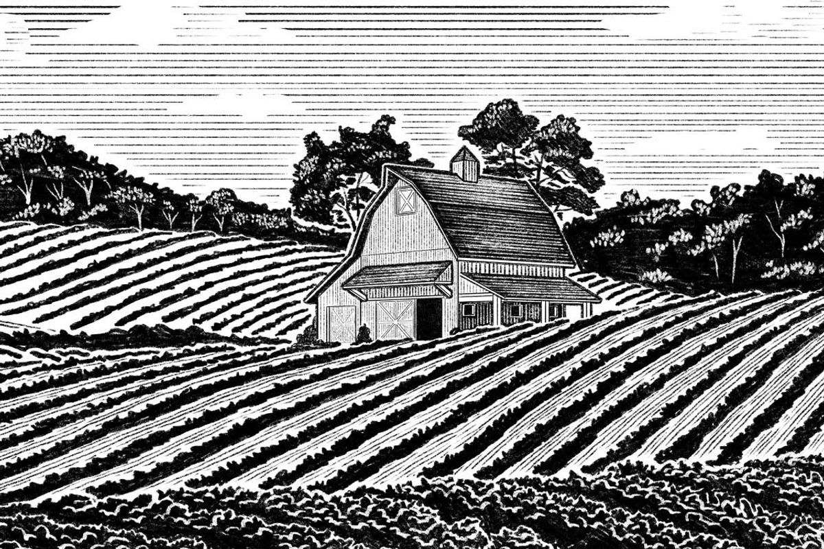Midwest Farm and Barn, a Food Illustration by blue67sign (Photo 4 of 4)