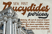 Vintage Fortuin Brush Script Font, a Handwritten Font by Templatiostudio (Thumbnail 5 of 12)