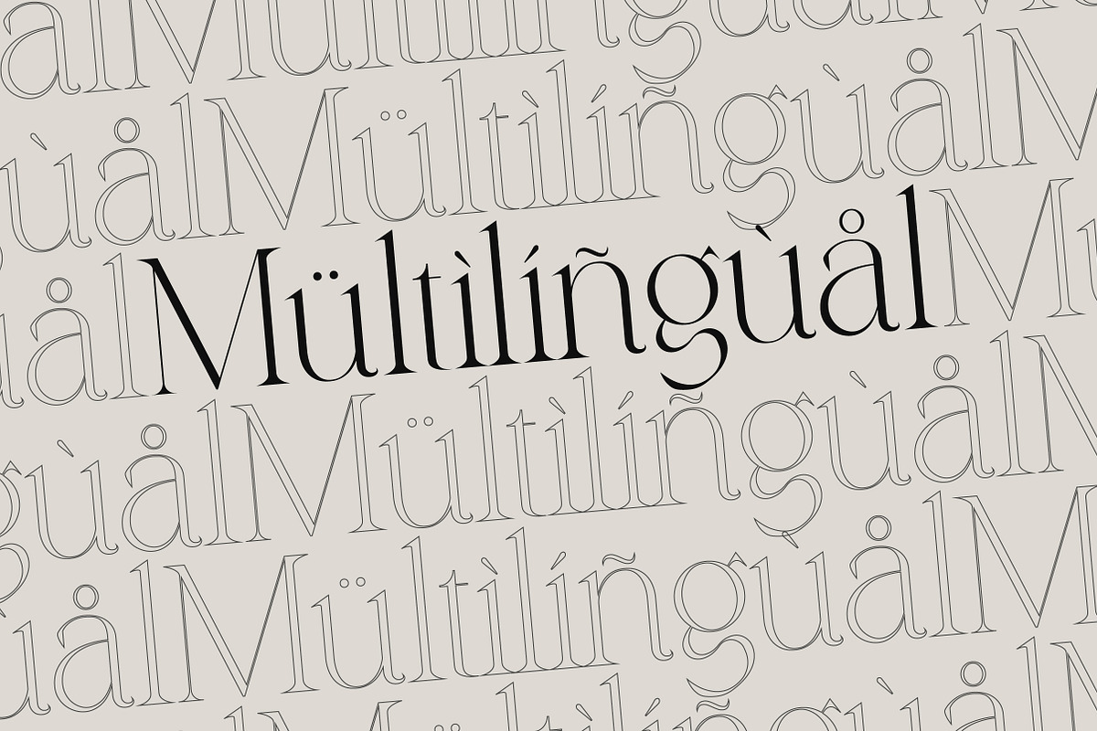 Qareky a Modern & Elegant Serif, a Serif Font by Lettertype Studio (Photo 18 of 20)