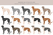 American Staghound dog, an Animal Illustration by pet design shop (Thumbnail 2 of 6)