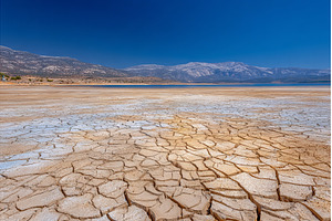 The drying up watering place bank, a Nature Photo by ZinetroN