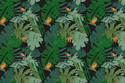 TROPICAL FOREST JUNGLE LEAVES, an Illustration by All This Concept (Thumbnail 7 of 10)