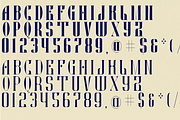 GENERATE CONDENSED FONT, a Serif Font by 177Studio (Thumbnail 8 of 8)