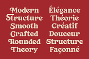 SFC Longyards, a Serif Font by Skilline Supply Co. (Thumbnail 7 of 10)