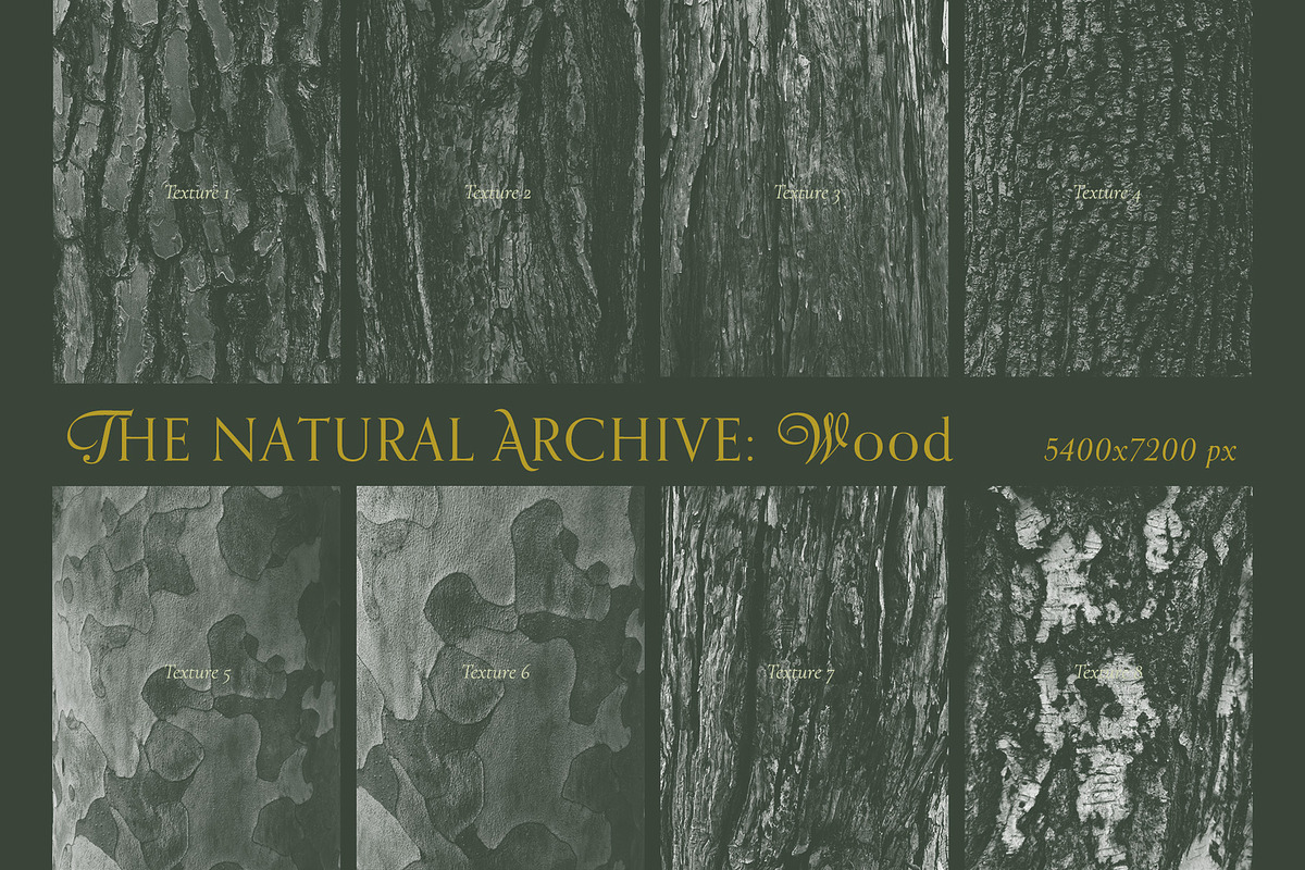 Paper Wood Texture Overlays White, a Texture Graphic by Yuliya Derbisheva (Photo 7 of 11)