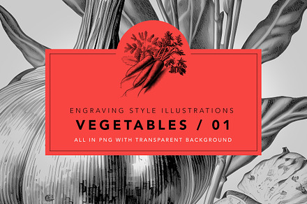 Vegetables in engraving style / 01