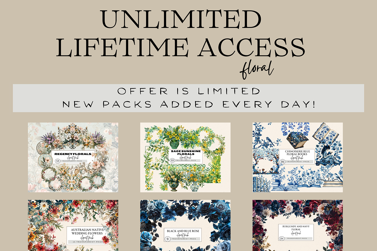 UNLIMITED LIFETIME ACCESS CLIPART, a Person Illustration by Daring Digies (Photo 4 of 10)