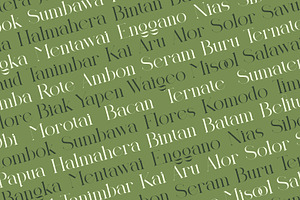 Huelicht Modern Serif Font