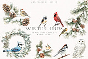 Winter Birds, an Animal Illustration by PeDe Designs (Thumbnail 1 of 6)