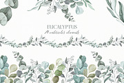 Watercolor eucalyptus clipart, an Illustration by OrangePeafowlArt (Thumbnail 1 of 10)