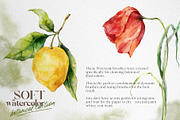 Watercolor Procreate brushes Botany, a Brush Add-On by Yuliya Derbisheva (Thumbnail 3 of 13)