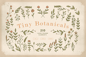 Tiny Botanicals | Wild Flowers Pack, an Illustration by GRPXSTORE