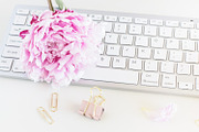 Pink peony stock photo bundle containing pink, peony, and fowers, a Business Photo by Savvy Stock Shop (Thumbnail 16 of 16)