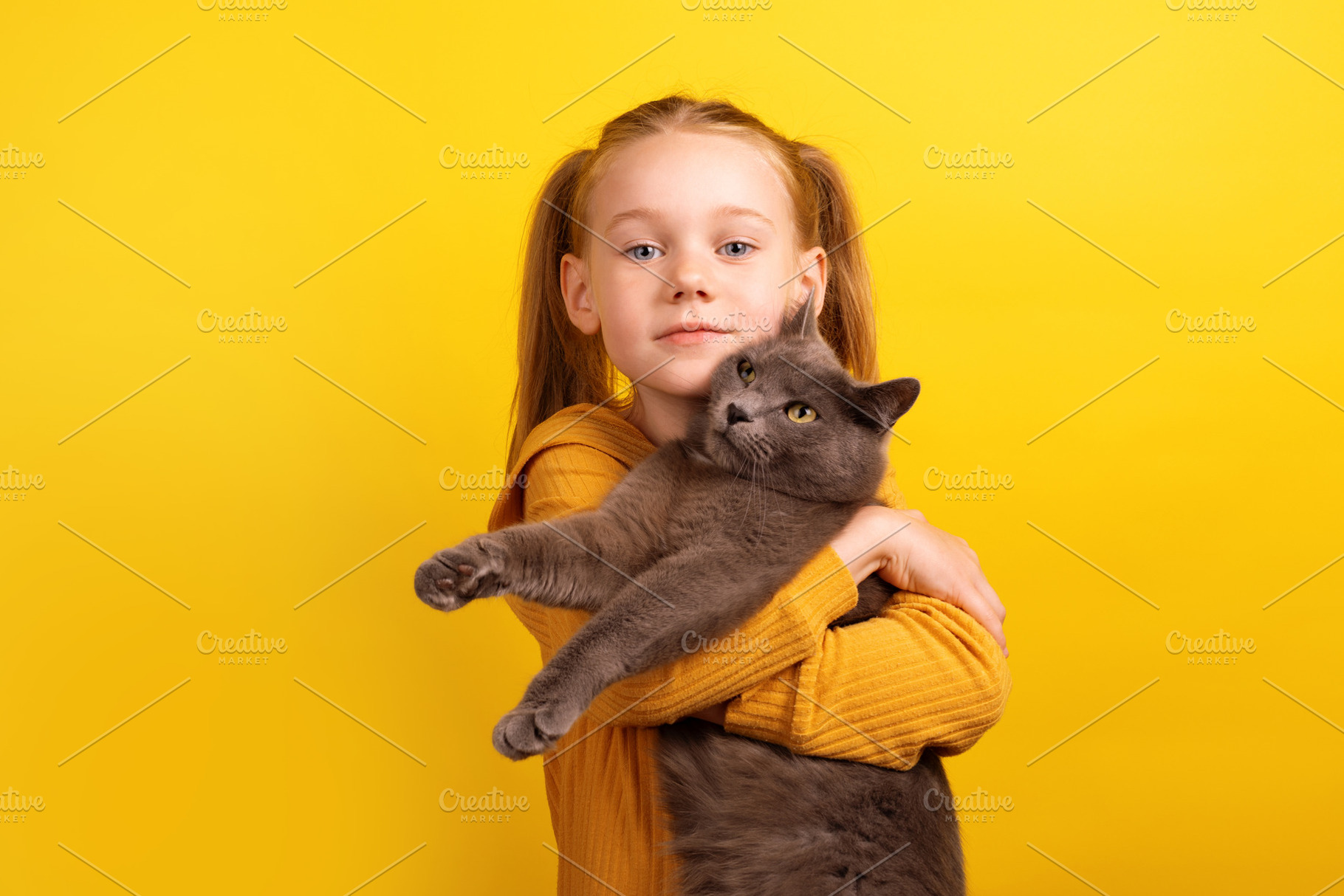 Young girl in a mustard sweater hugging a large gray cat while l, a Person Photo by Ales Munt