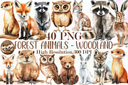 Watercolor Forest Animals - Woodland, an Illustration by Sublimation Artist (Thumbnail 1 of 6)