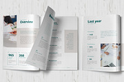 Annual Report Template, a Brochure Template by Sabin (Thumbnail 2 of 7)