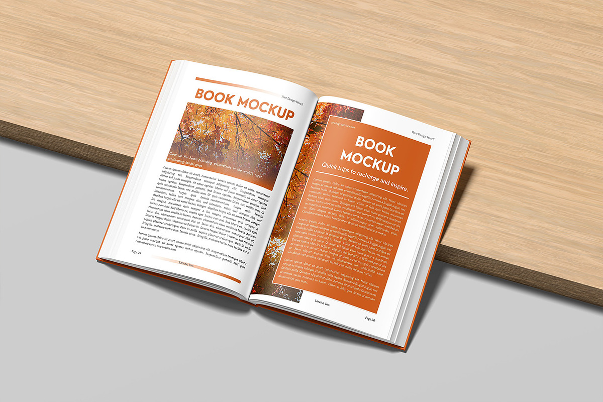 Open Book Mockup, a Books & Magazine Mockup by graphicsecond (Photo 6 of 7)