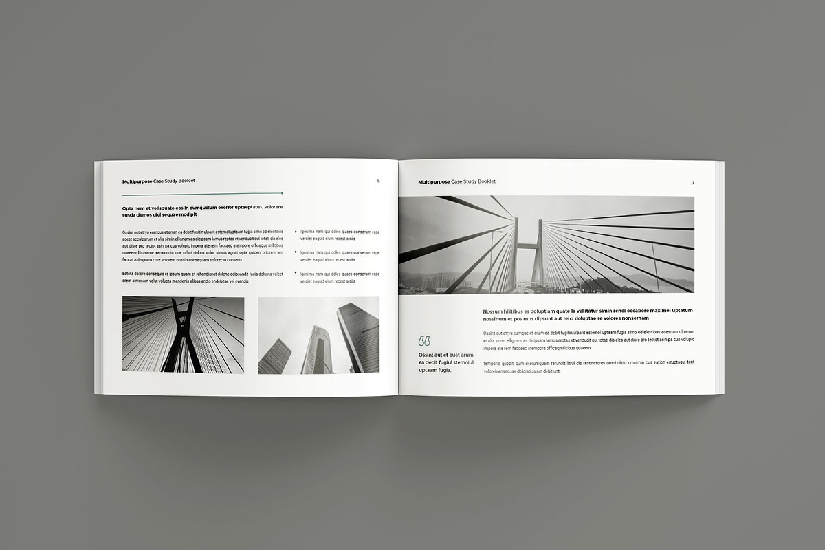 Case Study Booklet Landscape, a Brochure Template by Seeing-art (Photo 4 of 10)