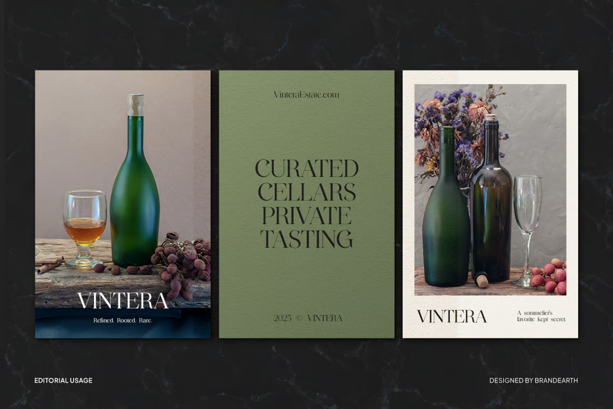 Wegato – A Stylish Serif Typeface, a Serif Font by Brand Earth (Photo 4 of 8)