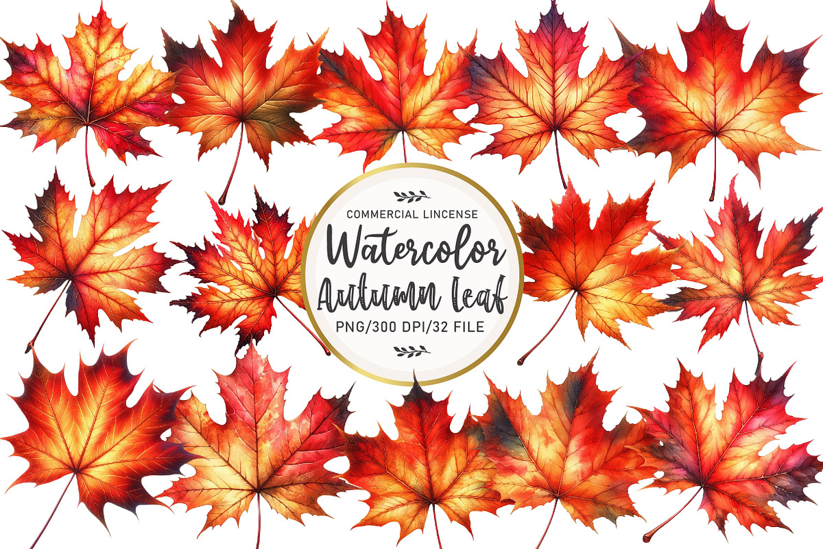 Watercolor Autumn Leaf Clipart, an Illustration by OK Design (Photo 1 of 5)