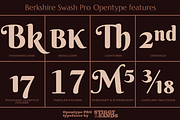 Berkshire Pro Family, a Font by Stiggy & Sands (Thumbnail 6 of 9)
