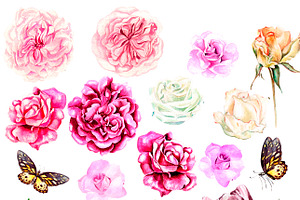 Hand Drawn Watercolor Flowers 43PNG