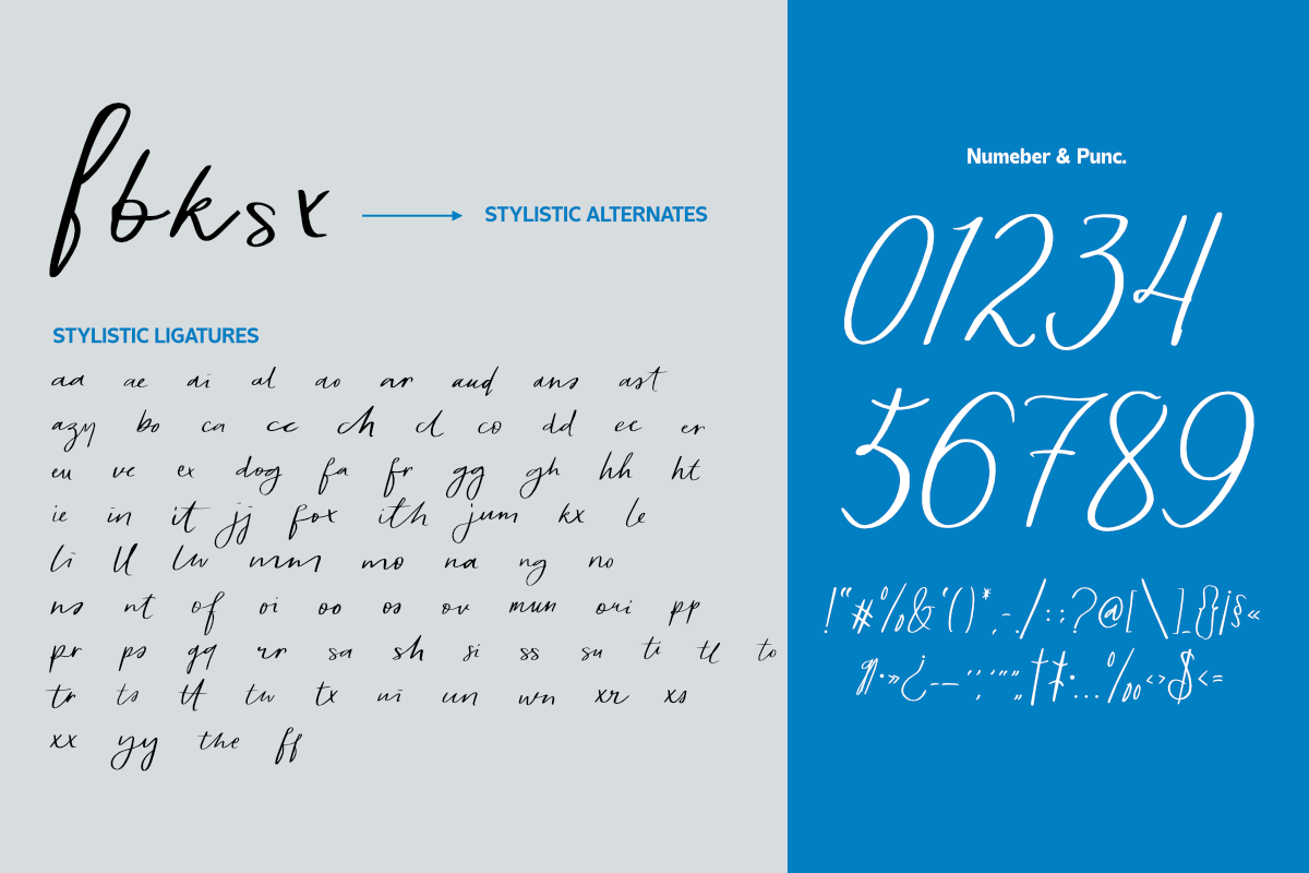 Beauty Indramayu, a Handwritten Font by Differentialtype (Photo 6 of 6)