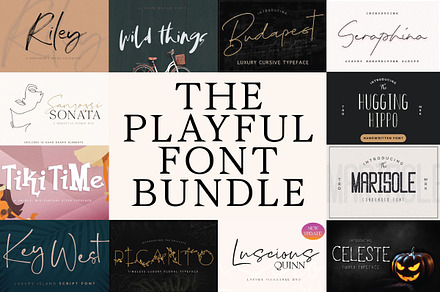 The Playful Font Bundle, a Script Font by Digital Hustler