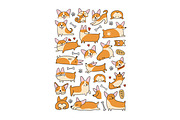 Funny corgi dogs. Vector print, an Animal Illustration by Kudryashka (Thumbnail 2 of 2)