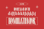 Tranquile | Vintage Display Serif, a Serif Font by Typoraith Co (Thumbnail 11 of 11)