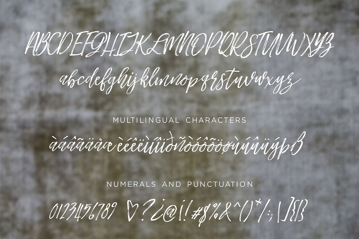Another Wild Modern Brush Script preview 2