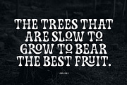 Caupako Font, a Serif Font by trustha (Thumbnail 12 of 15)