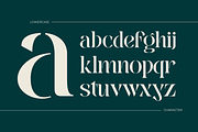 Mabeo Vintage - Branding Logo Font, a Serif Font by Nirmana Visual (Thumbnail 4 of 10)