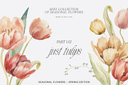 SPRING BOX Watercolor Bundle 400+, a Decorative Illustration by Muse Artist (Thumbnail 2 of 99)