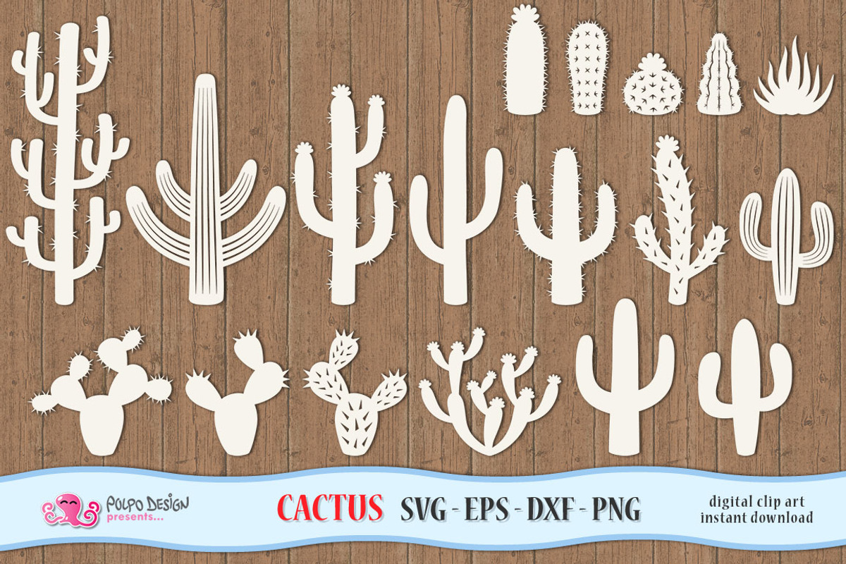 Cactus SVG, an Object Graphic by PolpoDesign (Photo 1 of 4)