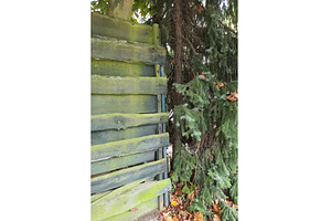 Weathered wooden fence with green, a Nature Photo by Lermont51