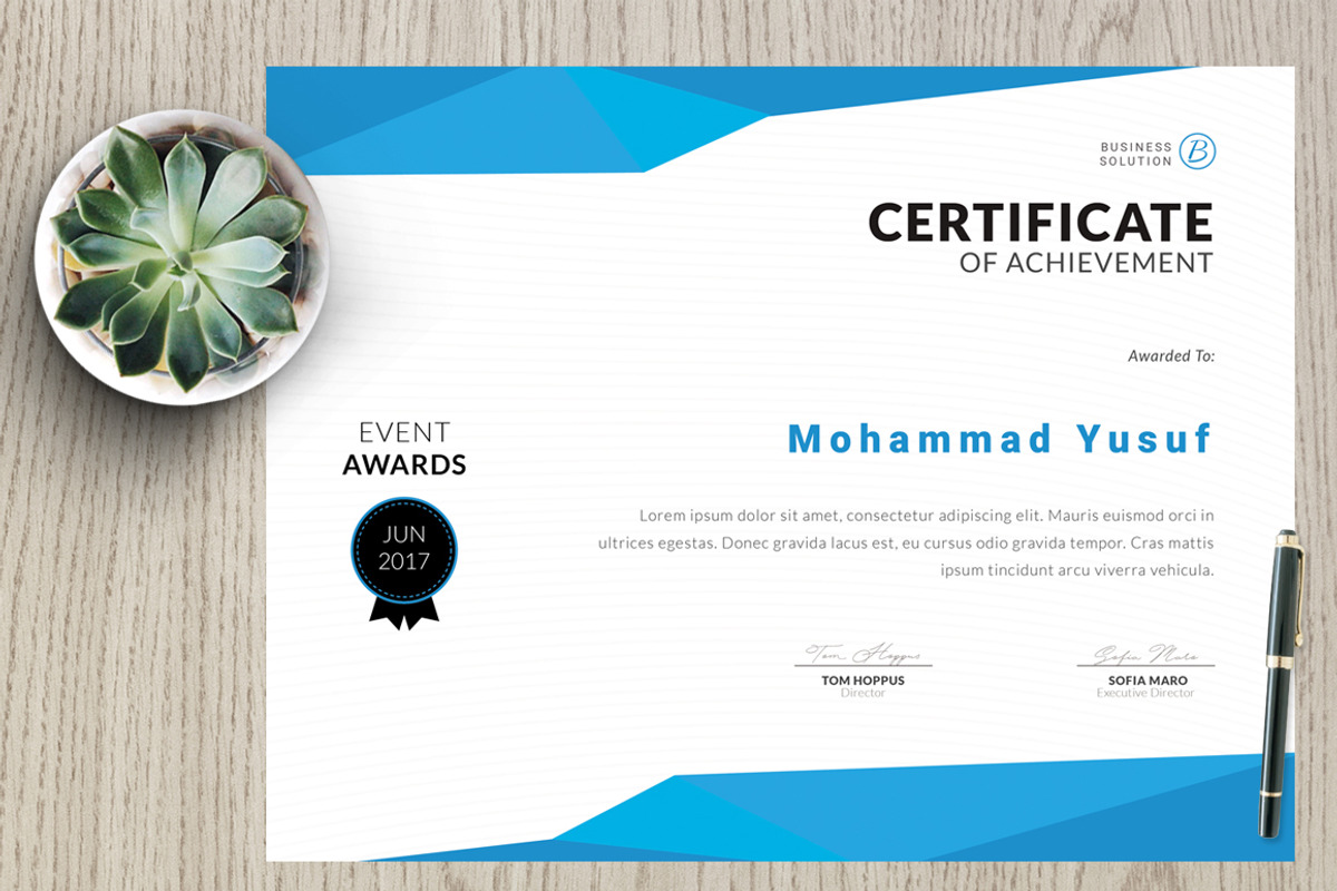 Certificate vm4, a Stationery Template by Kayytechin Shop (Photo 1 of 4)
