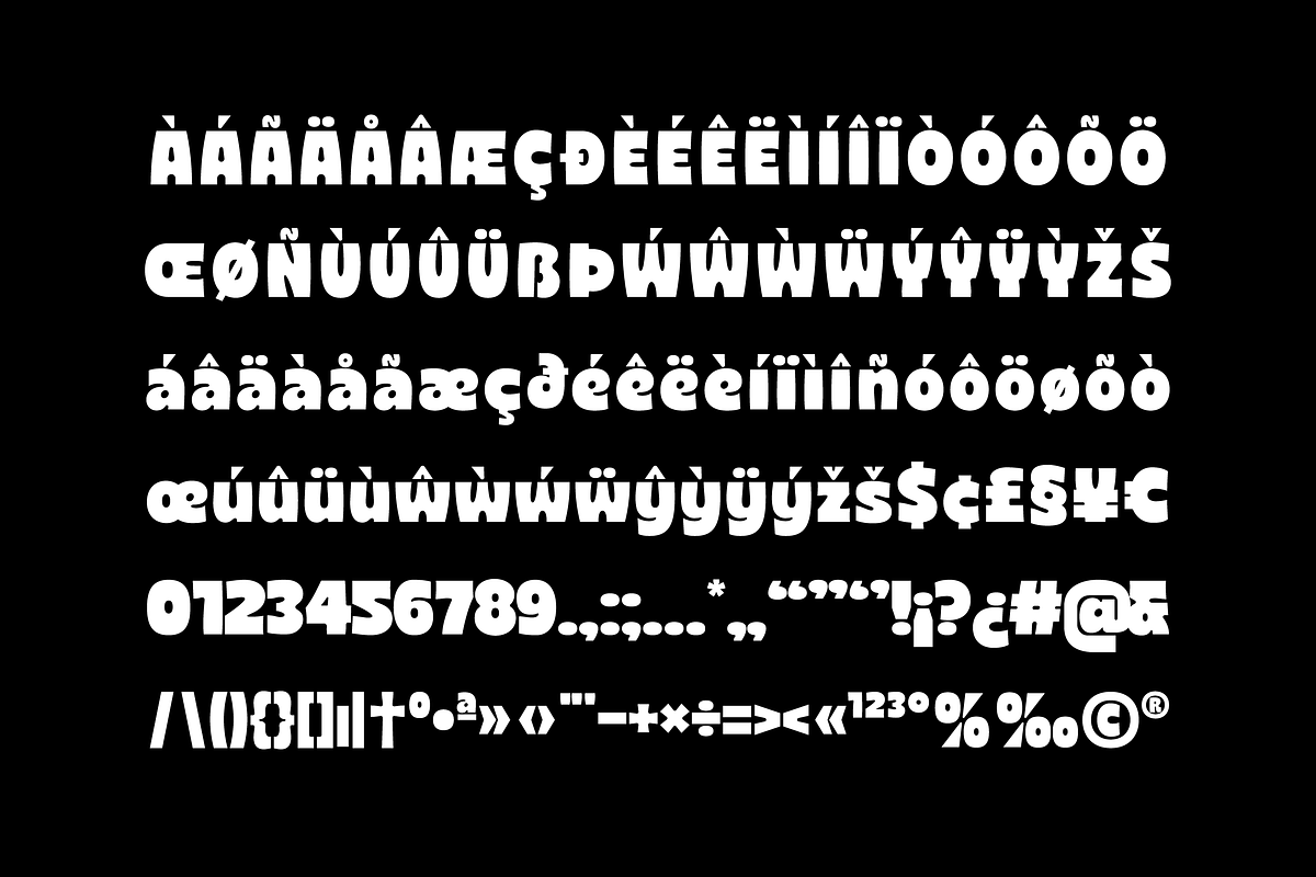 Chambs - Bold Font, a Sans Serif Font by limitype (Photo 11 of 12)