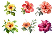 Watercolor Hibiscus Clipart, an Illustration by Designworld (Thumbnail 4 of 5)