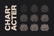 Gaglio Family Font, a Sans Serif Font by Marvadesign (Thumbnail 7 of 9)