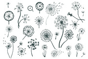 Set of dandelions, a Background Graphic by Artha Design Studio (Thumbnail 1 of 2)