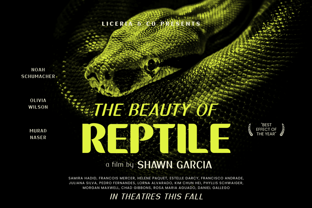 Sadigu, a Sans Serif Font by twinstd (Photo 7 of 13)