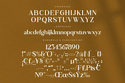 Rilenda Modern Serif Font, a Serif Font by Storytype Studio (Thumbnail 11 of 13)
