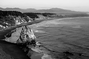 Black & White Lightroom Presets, an Action Add-On by PresetKingdom.com (Thumbnail 2 of 5)