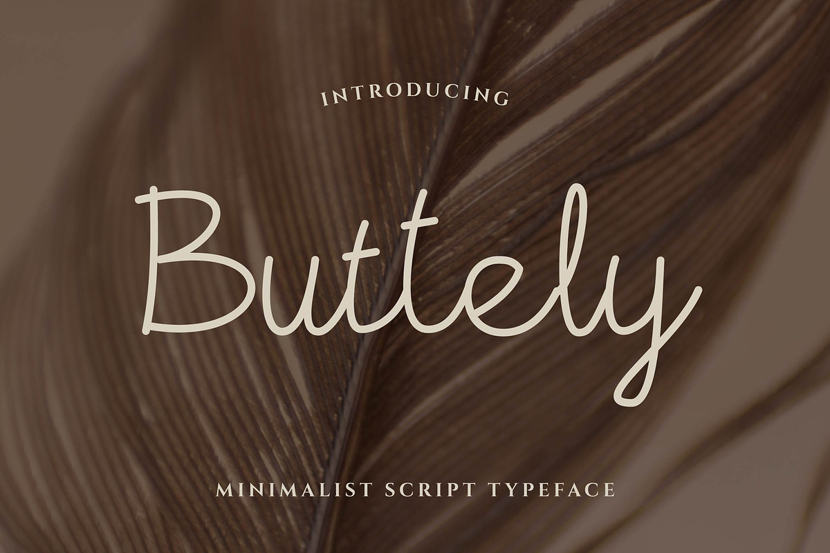 Buttely Signature Script, a Script Font by Artiveko (Photo 1 of 5)