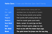 Nalte Sans Family | Intro 60% OFF, a Sans Serif Font by Lettertype Studio (Thumbnail 3 of 15)
