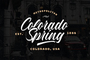 Blue Phantom Script, a Script Font by Letterhend Studio (Thumbnail 7 of 10)