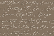 Platimye Stylish Signature Font, a Script Font by Letterena Studios Script (Thumbnail 6 of 15)