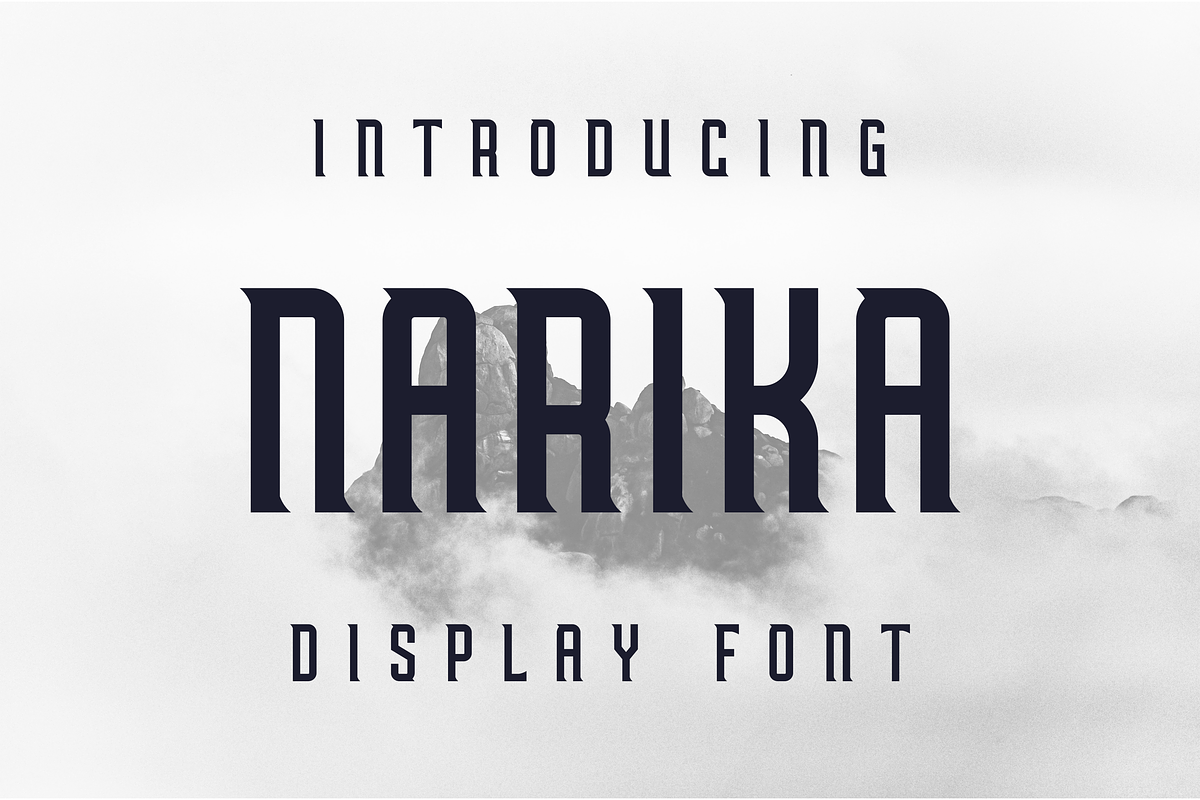 Narika, a Sans Serif Font by lelevien (Photo 1 of 5)